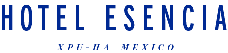 Expansion Plans for Hotel Esencia