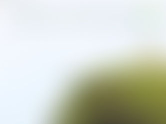 St. Patricks Day with Sleigh's UK and Ireland