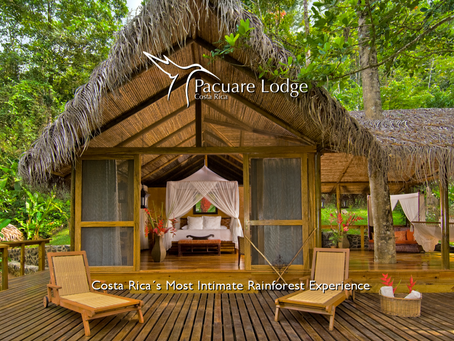 Costa Rica's most intimate Rainforest Experience