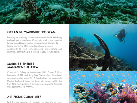 Marine projects with Song Saa Foundation