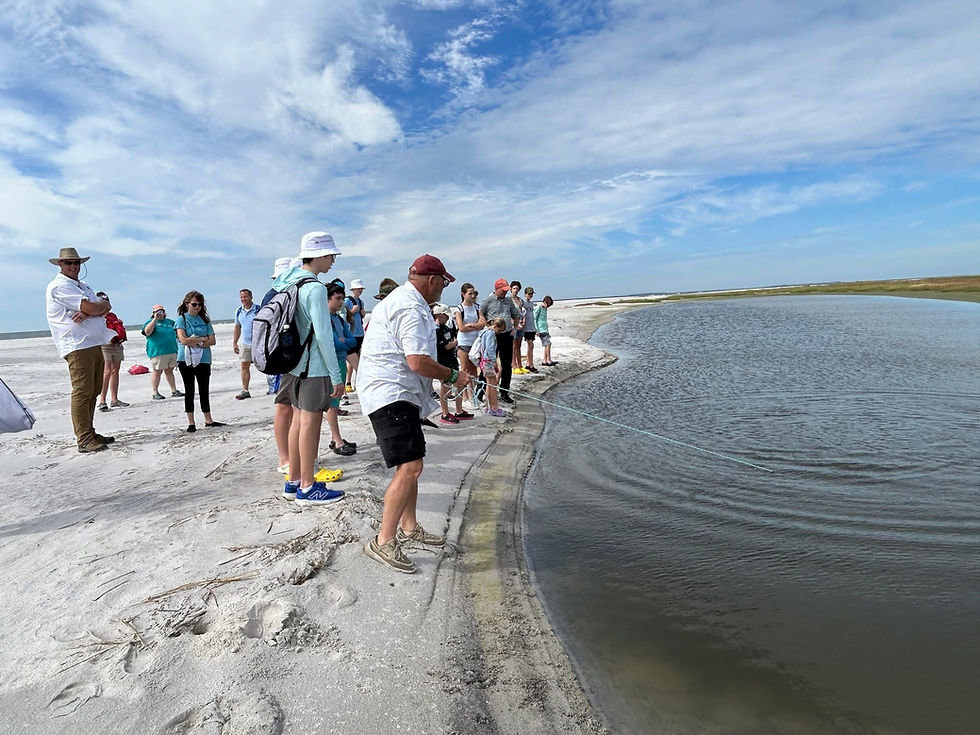 MSU Science Education at SEA
