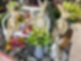 Al’s Garden & Gift 7th Anniversary Celebration