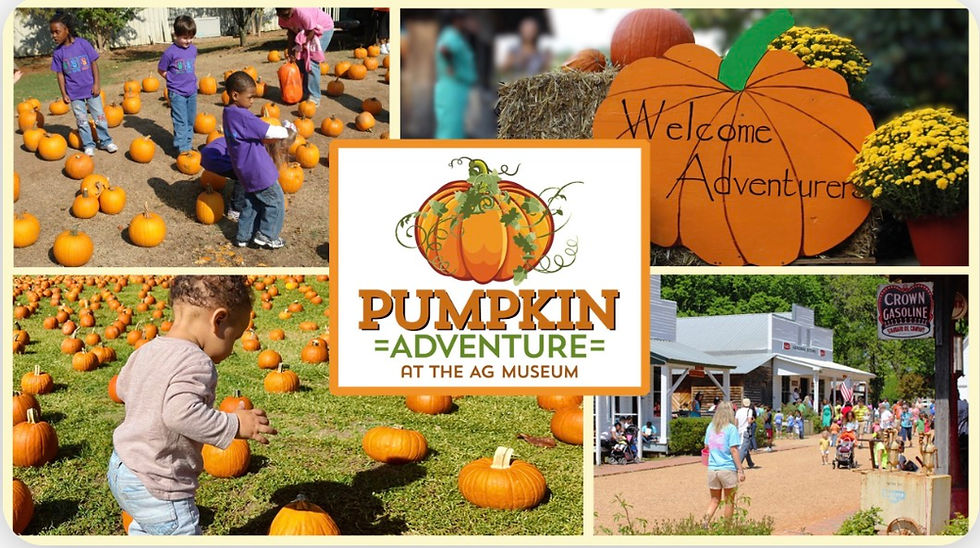 Pumpkin Adventure 