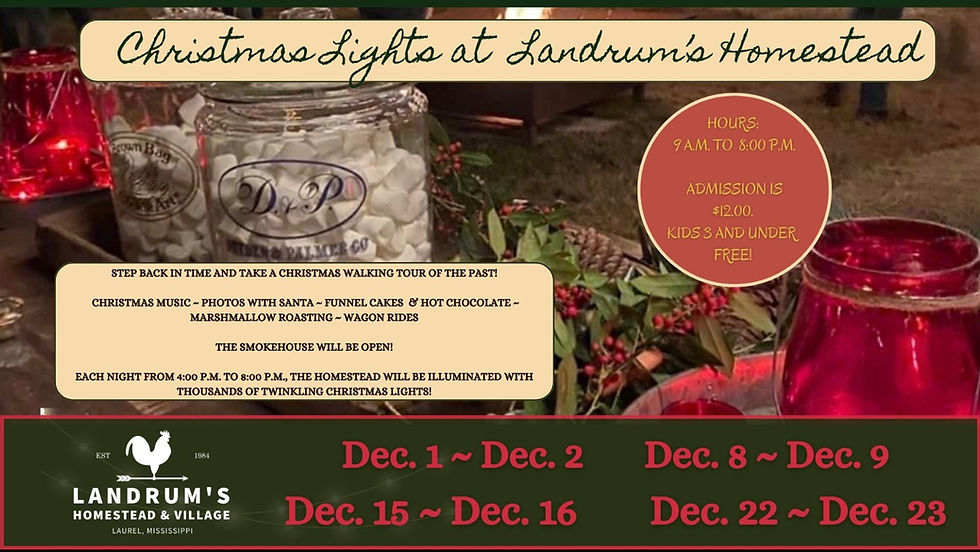Christmas Lights at Landrums Homestead