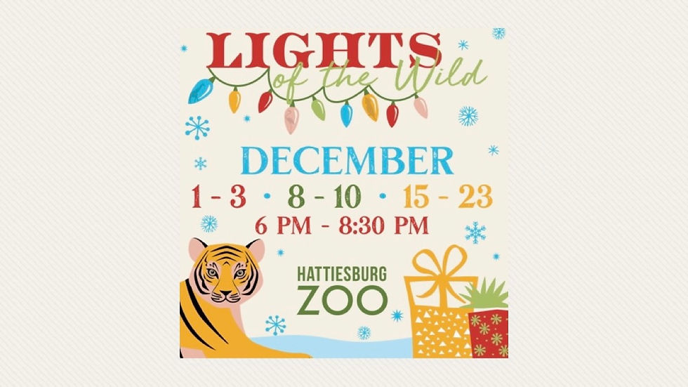 Lights of the Wild