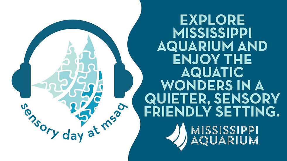 Sensory Day at MS Aquarium