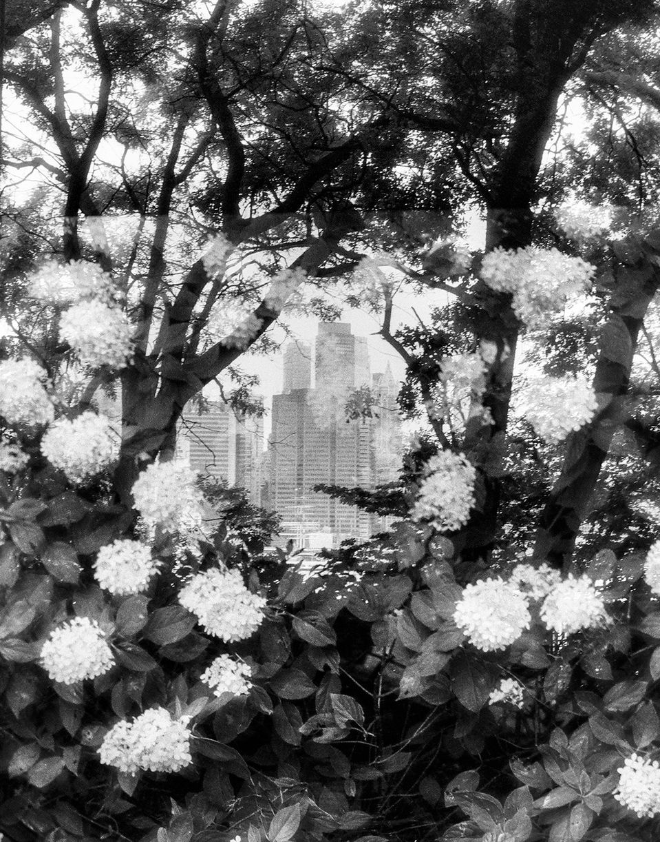 Fine Art Photography, Film Photography