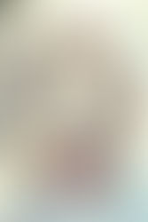 Sukiyaki Western Django