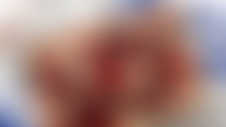 FIREWORKS SHENANIGANS