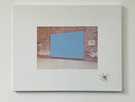 spider, trompe l'oeil, illusion