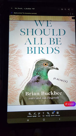 We Should All Be Birds, Brian Buckbee