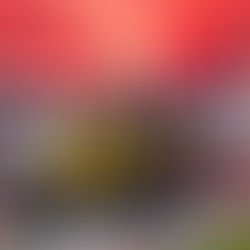 Mój pierwszy raz... NA TORZE!