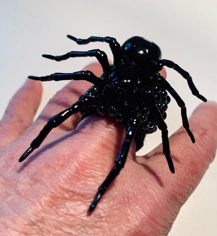 I love spiders. They have an undeserved bad reputation. 
