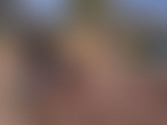 Climate, Community & Micro-Forests: Plymouth’s Climate Mingle