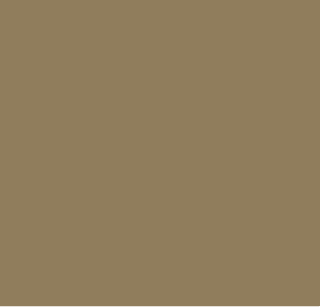 Buckskin.png