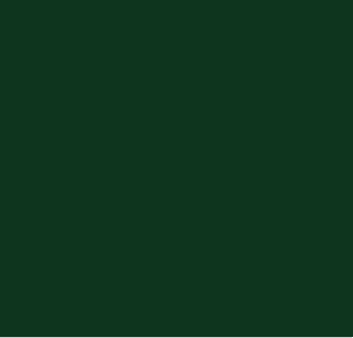 Evergreen.png