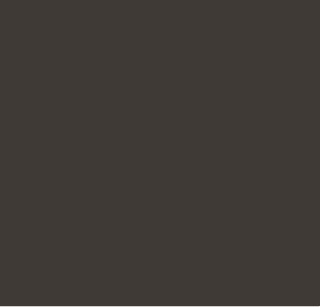 Dark Bronze.png