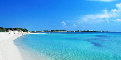 Image by Element5 Digital