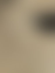 ¡Potencia mundial! Colombia ganó concurso de avistamiento de aves