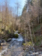 Some rapids