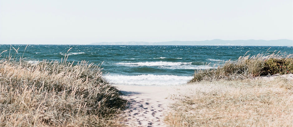 Shoreline_edited.jpg