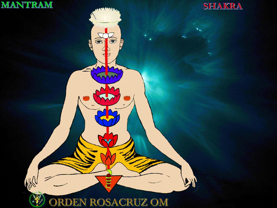 Shakras-4-oleo-a.gif