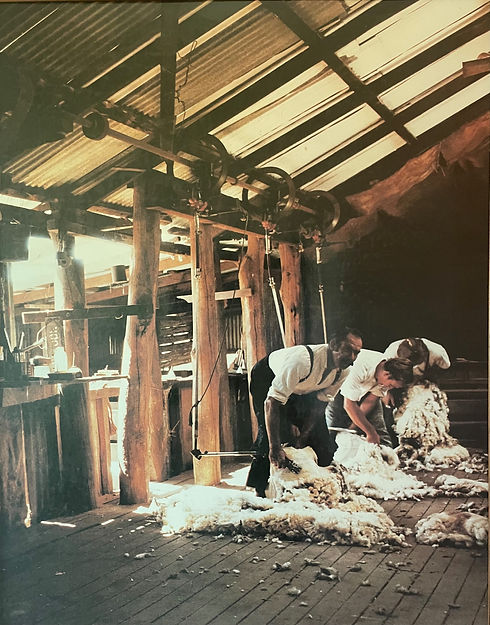 old shearing shed.jpg