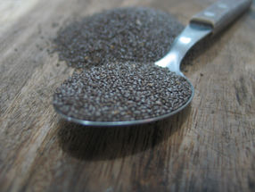 Chia-Samen: Superfood der Mayas