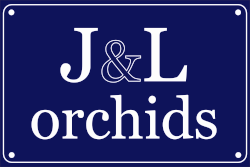jl_orchids.webp
