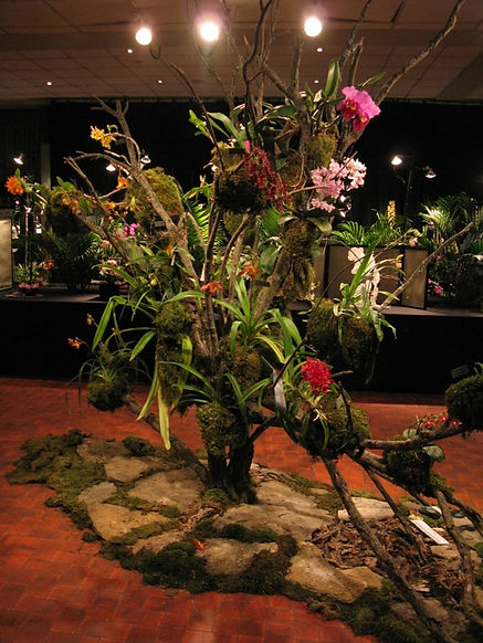 Présentoir Orchidexpo 2012