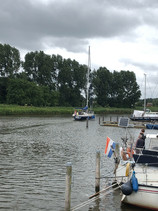 IMG_1557.jpeg
