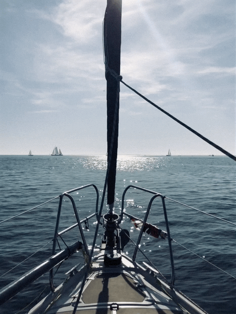 IMG_3725.gif