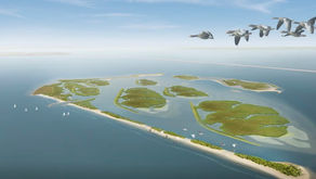 Ontdek de Marker Wadden: een paradijs voor natuur en rustzoekers!
