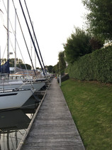 IMG_8478.jpeg