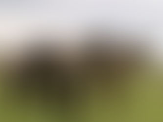 Ontdek de Oostvaardersplassen bij het Knardijk-bezoekerscentrum