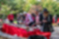 Chrysanthemum Garden Party