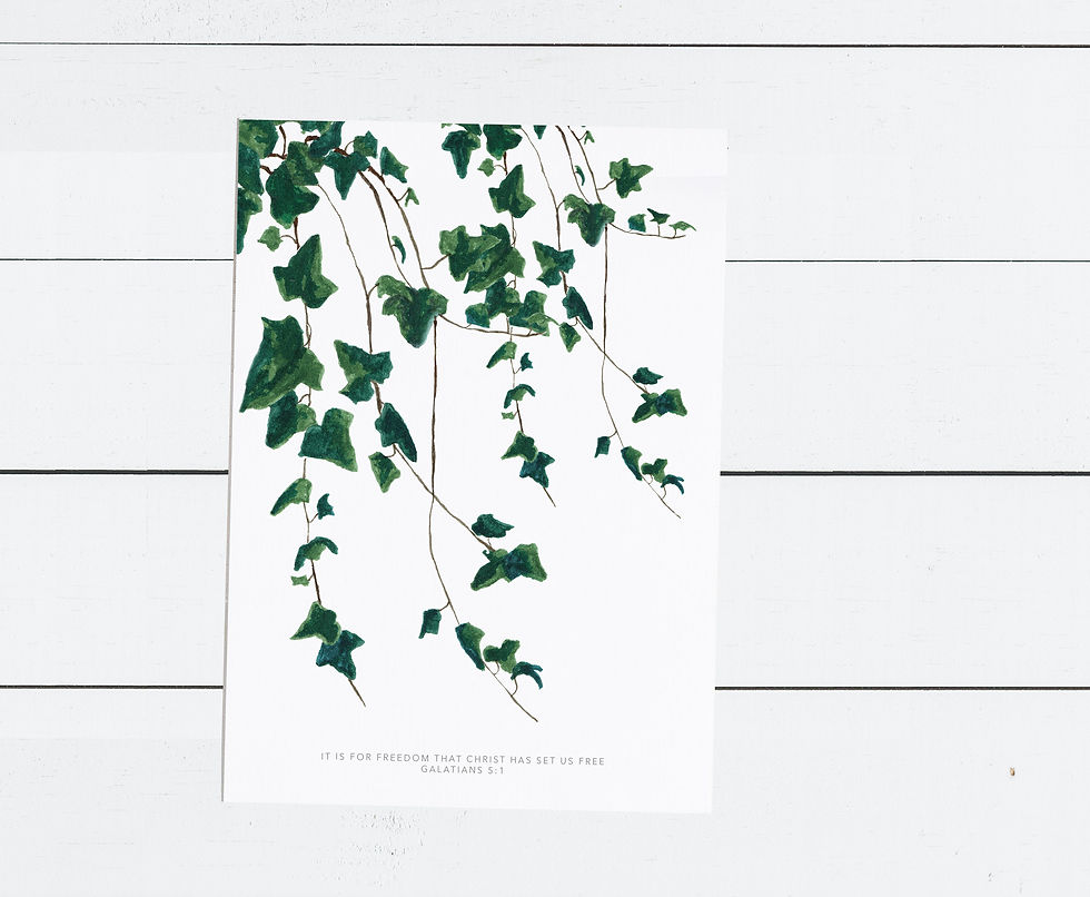 Thumbnail: Green Trailing Ivy Print - Galatians 5:1