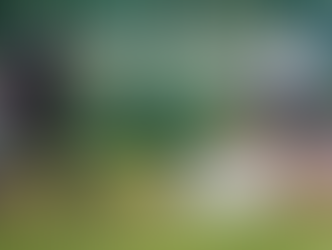 IL CUS BRESCIA BASEBALL FEST HA CHIUSO IL CICLO DELLE AMICHEVOLI PRECAMPIONATO