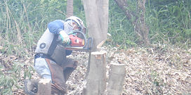 DSCF0528.JPG