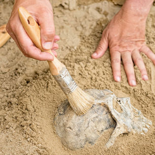 The Error of Radiometric Dating Theory