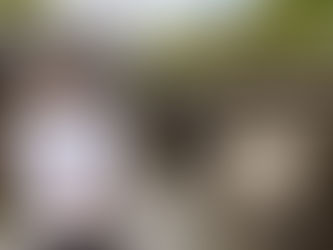 Rooted in Skye: A conversation with Chef Calum Montgomery, Edinbane Lodge