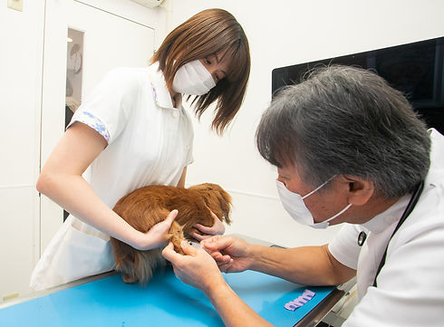 30898635 (12)_edited.jpg