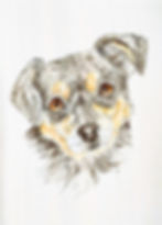 IMG_20220418_140028_191_edited_edited