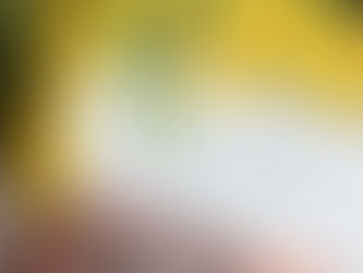 Built on Belief: Why We Started Vann Rayeux