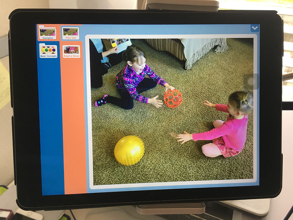 Visual Scene Display (VSD)