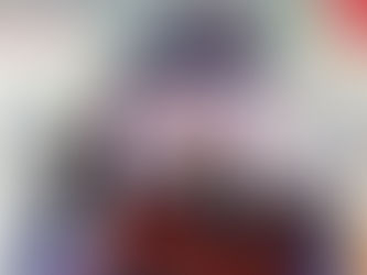 Wethouder Cultuur Apeldoorn Farewell Reception