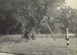Image4
