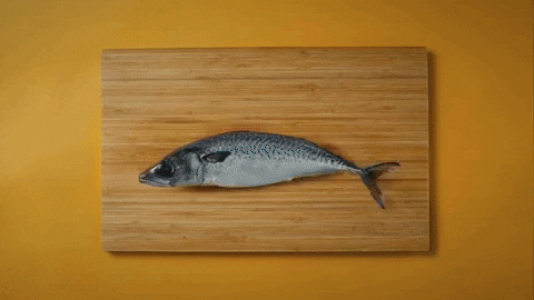 fish.gif