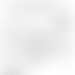 Volume 27, OKNA Newletter Jan 2026