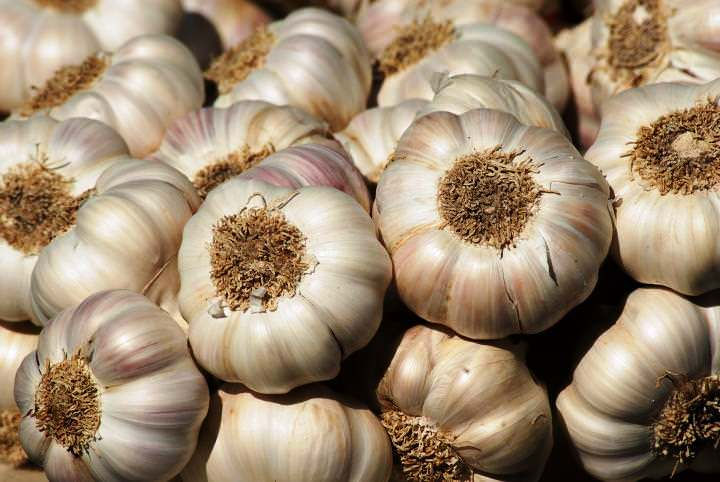 Thumbnail: Garlic Glove 250g